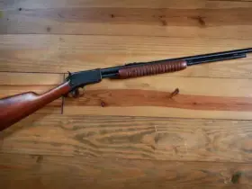 Carabina WINCHESTER 22