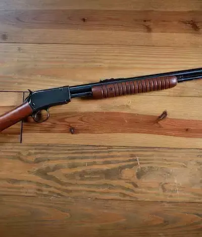 Carabina WINCHESTER 22