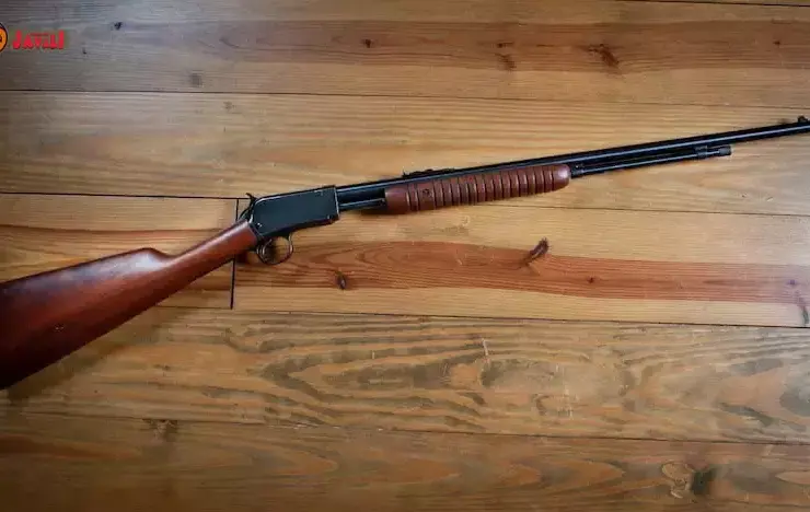 Carabina WINCHESTER 22